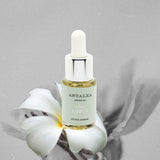 Black Aroma Diffuser Keramik + GRATIS Aroma Öl White Lotus